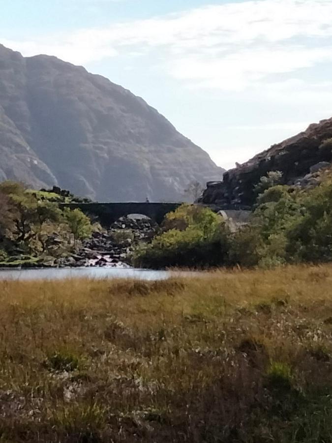 Larkfield House B&B, Ballycasheen Kerry V93 Wd51 Cill Airne Kültér fotó