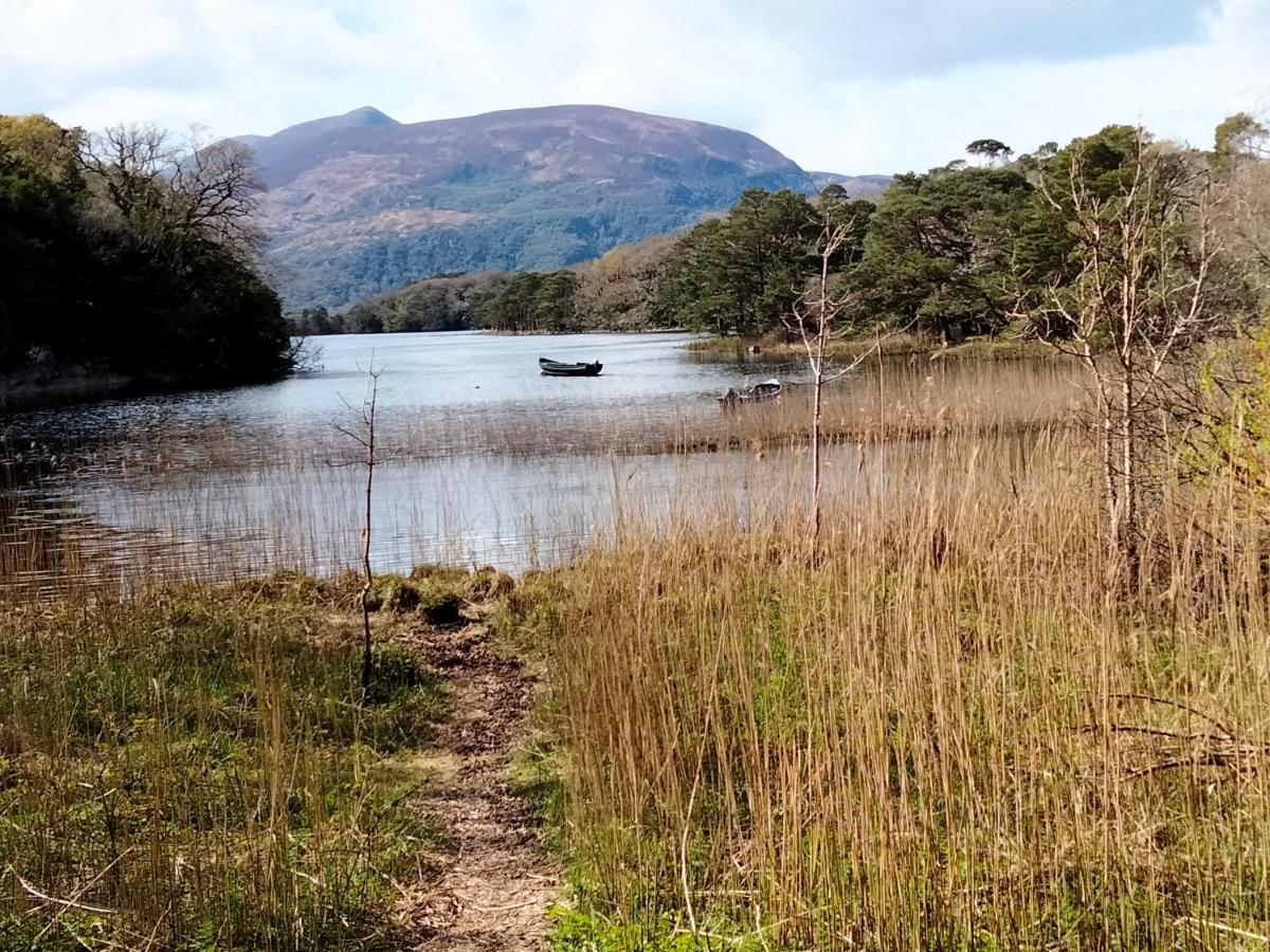 Larkfield House B&B, Ballycasheen Kerry V93 Wd51 Cill Airne Kültér fotó