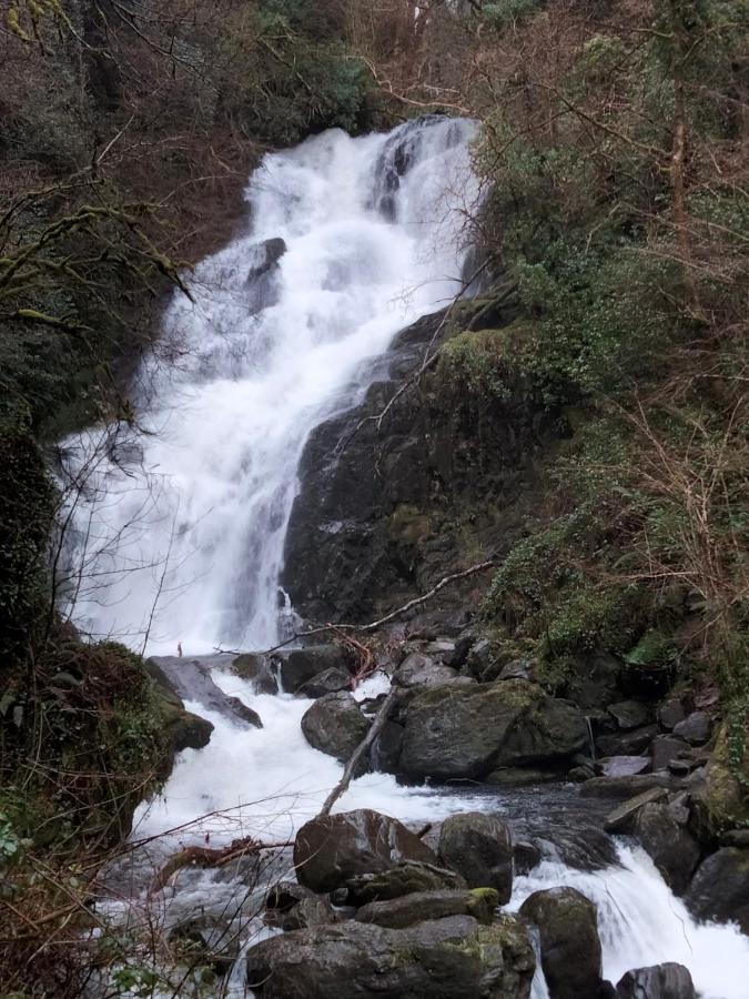 Larkfield House B&B, Ballycasheen Kerry V93 Wd51 Cill Airne Kültér fotó