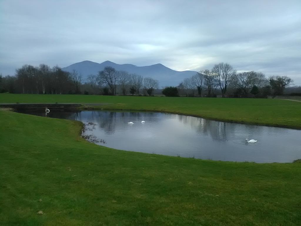 Larkfield House B&B, Ballycasheen Kerry V93 Wd51 Cill Airne Kültér fotó