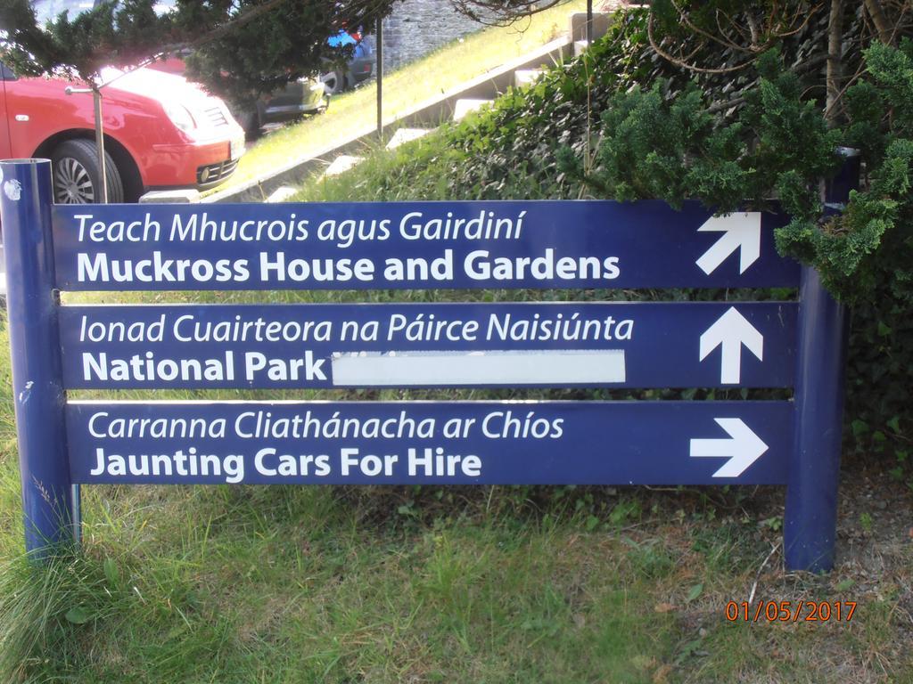 Larkfield House B&B, Ballycasheen Kerry V93 Wd51 Cill Airne Kültér fotó
