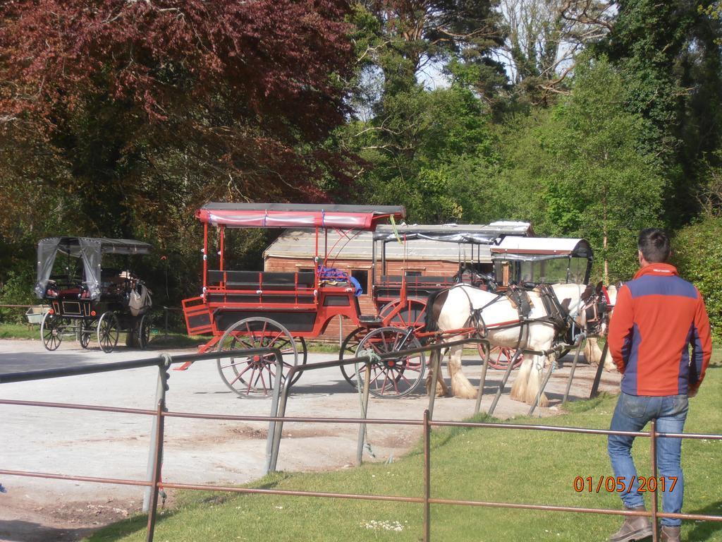 Larkfield House B&B, Ballycasheen Kerry V93 Wd51 Cill Airne Kültér fotó