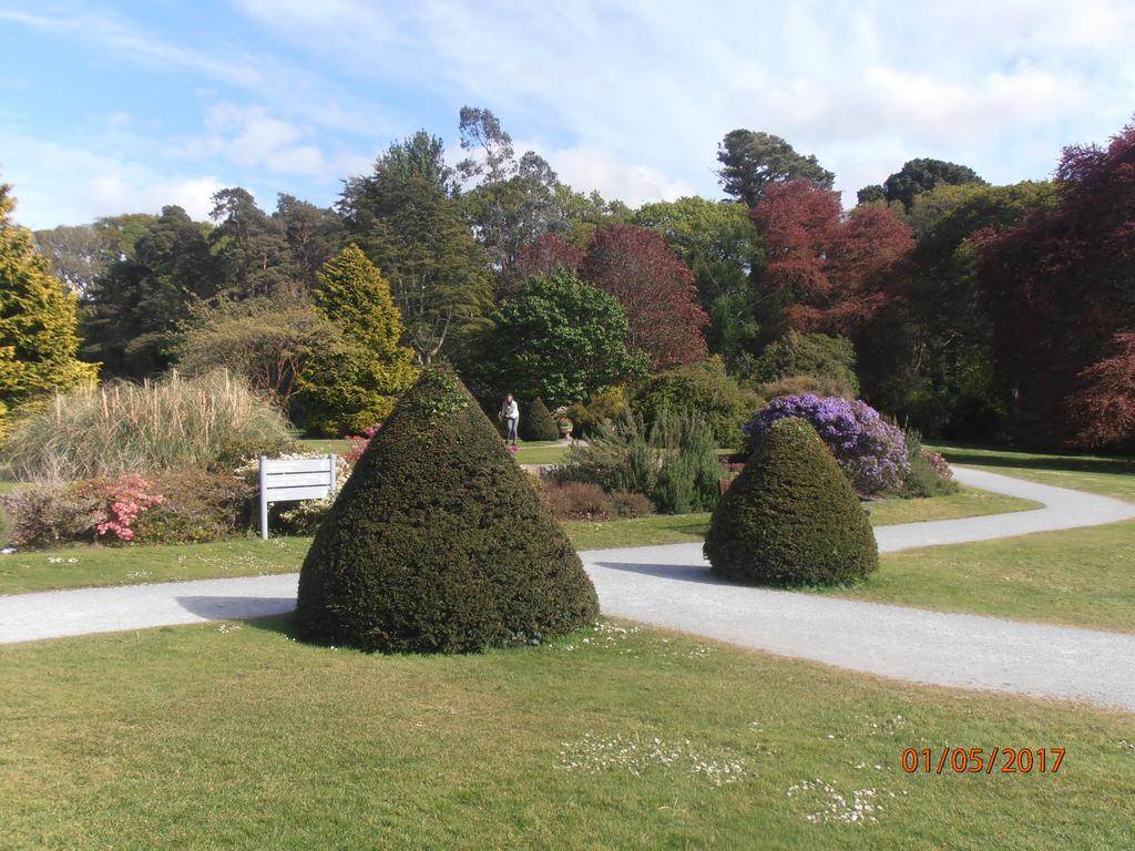 Larkfield House B&B, Ballycasheen Kerry V93 Wd51 Cill Airne Kültér fotó