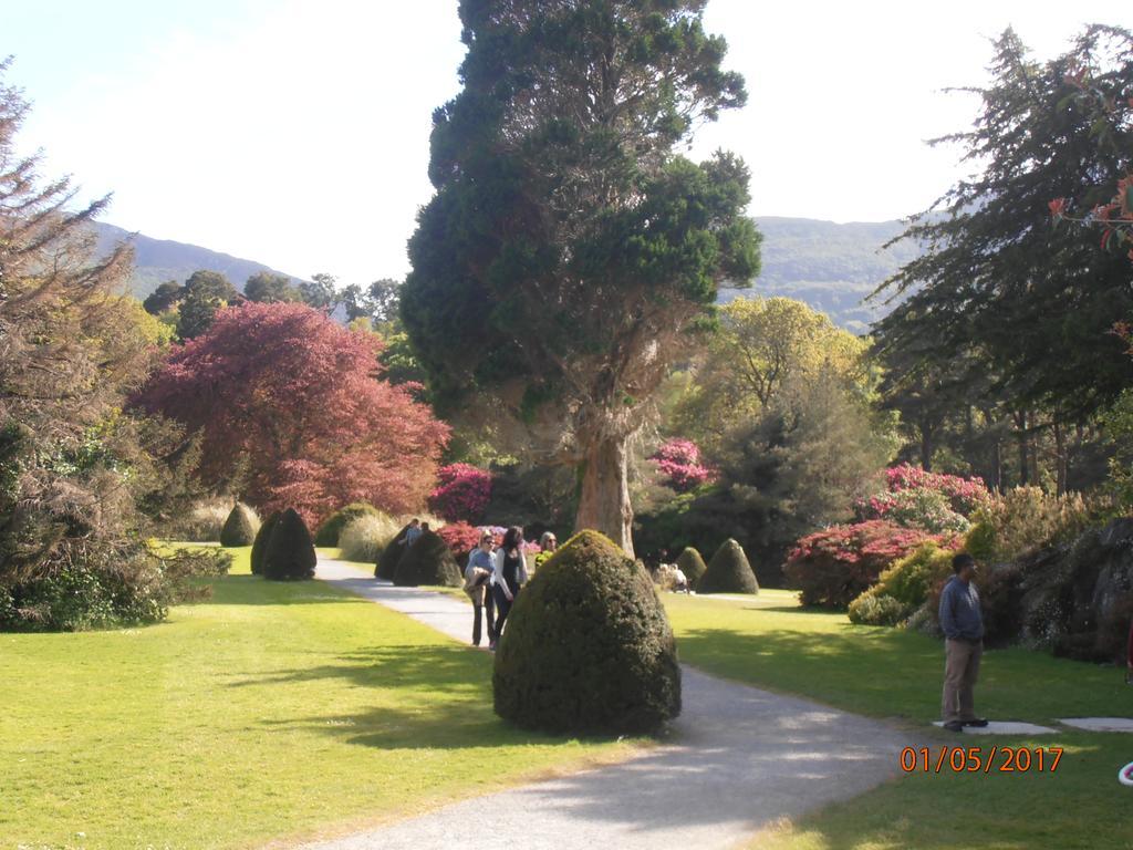 Larkfield House B&B, Ballycasheen Kerry V93 Wd51 Cill Airne Kültér fotó